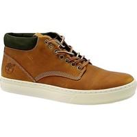 Timberland EK 20 Cupsole Chukka men\'s Shoes (High-top Trainers) in Brown