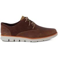 Timberland Bradstreet Black men\'s Casual Shoes in Brown