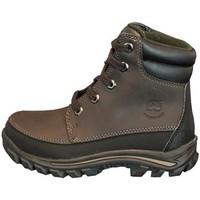 timberland chillberg wpmidbt br mens walking boots in brown