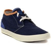 Timberland CHUKKA BLUE men\'s Shoes (High-top Trainers) in multicolour