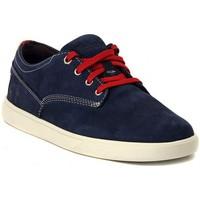 Timberland GROVETON NAVY men\'s Shoes (Trainers) in multicolour