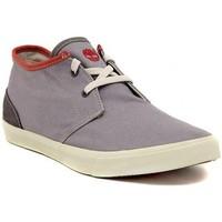 Timberland HKST CMP GREY men\'s Shoes (High-top Trainers) in multicolour