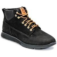 Timberland KILLINGTON CHUKKA men\'s Shoes (High-top Trainers) in black