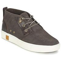 Timberland AMHERST CHUKKA men\'s Shoes (High-top Trainers) in grey