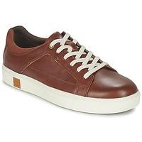 timberland amherst oxford mens shoes trainers in brown