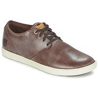 Timberland FULK LP LOW men\'s Shoes (Trainers) in brown