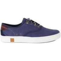 timberland oxford mens shoes trainers in multicolour