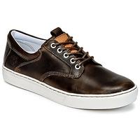 timberland adventure 20 cupsole lea mens shoes trainers in brown