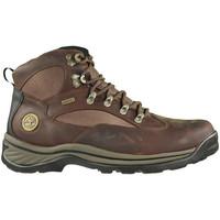 timberland chocorua trial mens shoes high top trainers in brown
