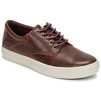 timberland adventure 20 cupsole lea mens shoes trainers in brown