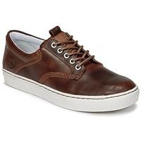 timberland adventure 20 cupsole lea mens shoes trainers in brown