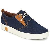 Timberland AMHERST CANVAS PTO men\'s Shoes (Trainers) in blue