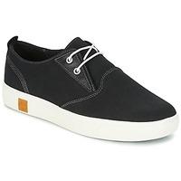 timberland amherst canvas pto mens shoes trainers in black
