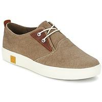 timberland amherst canvas pto mens shoes trainers in brown