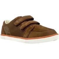 timberland wp chukka mens shoes trainers in brown