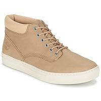 Timberland ADVENTURE 2.0 CUPSOLE CHK men\'s Shoes (High-top Trainers) in BEIGE