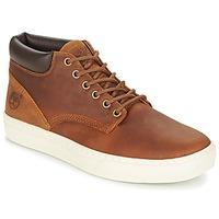 Timberland ADVENTURE 2.0 CUPSOLE CHK men\'s Shoes (High-top Trainers) in brown