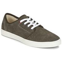 Timberland NEWPORT BAY SUEDE PTO men\'s Shoes (Trainers) in grey