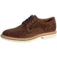 Timberland Chaussure Naples Trail Oxford Potti A17Fq men\'s Casual Shoes in brown