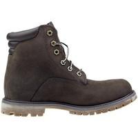 Timberland Watrvle 6IN Basic women\'s Mid Boots in Brown