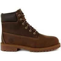 Timberland Authentic 6 Inc women\'s Shoes (High-top Trainers) in Brown