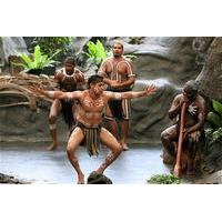 Tjapukai Indigenous Culture Experience and Palm Cove Day Trip from Cairns