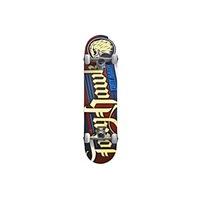 tony hawk 540 series complete skateboard hawk union