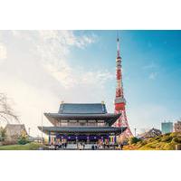 Tokyo Modern and Traditional Architecture Highlights by Minibus