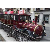 Toledo Sightseeing Tour with Tourist Train from Madrid
