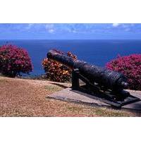 Tobago Island Sightseeing and Plantation Tour