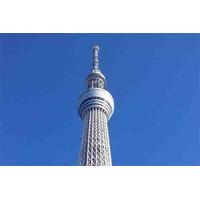 Tokyo City Private Tour by Subway