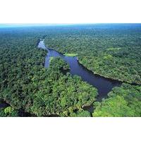 tortuguero national park one day tour