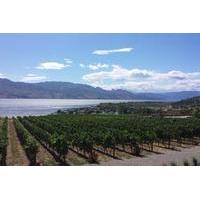 Tour and Taste Okanagan\'s Wine Country