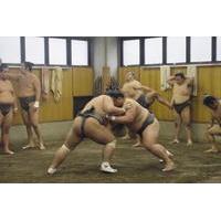Tour of Sumo Morning Practice
