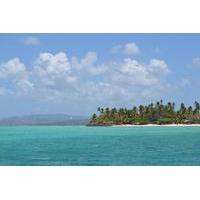 Tobago Buccoo Reef Glassbottom Boat Tour