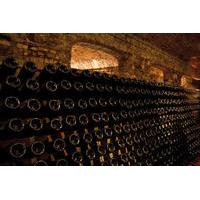 Top Sparkling Tour: Private Day Trip from Milan to Discover Franciacorta Wine and Wineries