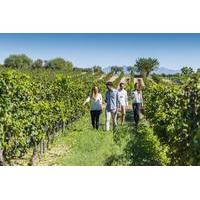 Torres Wine Cellars and Montserrat Guided Day Tour from Barcelona with Optional Sitges