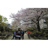tokyo by bike skytree kiyosumi garden and sumo stadium