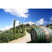 Tour of the Chianti Region and Brunello Wine Tasting from San Gimignano
