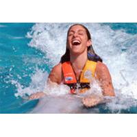 Tortola Dolphin Swim Adventure