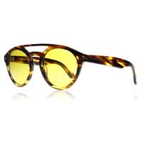 Tom Ford Clint Sunglasses Shiny Striped Brown 48E 50mm
