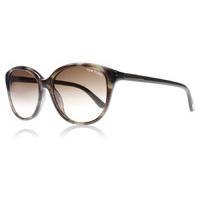 Tom Ford TF329 Sunglasses Brown 50P Polariserade