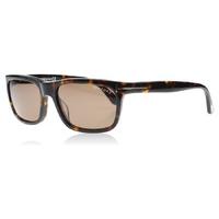 Tom Ford Hugh Sunglasses Tortoise 56J