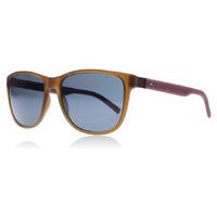 tommy hilfiger 1403s sunglasses matte brown burgundy r6u