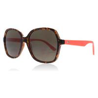 Tommy Hilfiger TH1490/S Sunglasses Dark Havana 086IR 54mm