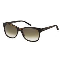 tommy hilfiger th1985 086db havana