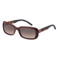 tommy hilfiger th1158s v34 dz burgundyhavanablue