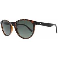 tommy hilfiger th1485s 9n4 havana brown