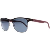 Tommy Hilfiger TH1401/S R66 Brown/Burgundy