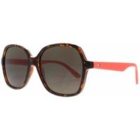 Tommy Hilfiger TH1490/S 086IR Dark Havana